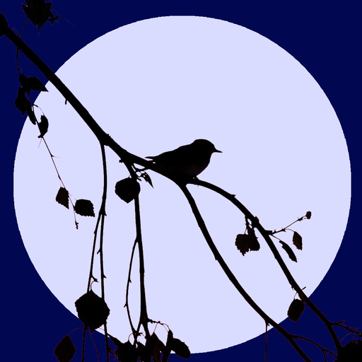 Живая природа