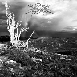 Ферумэрозия