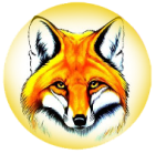 радио Лисица