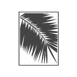 Palmera Blanca radio